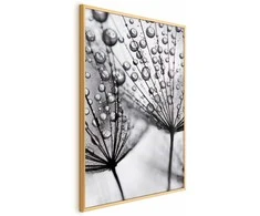 Artgeist Plakatas - Macro Dew