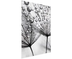 Artgeist Plakatas - Macro Dew