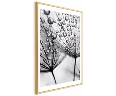 Artgeist Plakatas - Macro Dew