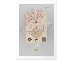 Artgeist Plakatas - Mysterious Tree