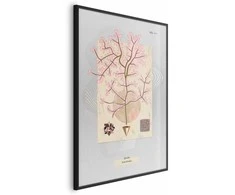 Artgeist Plakatas - Mysterious Tree