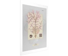 Artgeist Plakatas - Mysterious Tree