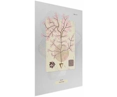 Artgeist Plakatas - Mysterious Tree