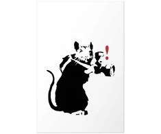 Artgeist Plakatas - Photographer Rat
