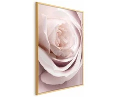 Artgeist Plakatas - Porcelain Rose
