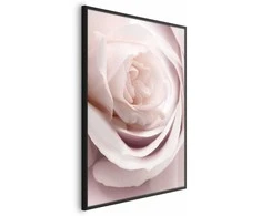 Artgeist Plakatas - Porcelain Rose