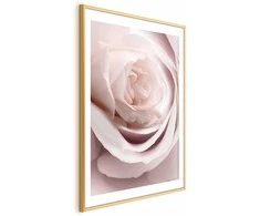 Artgeist Plakatas - Porcelain Rose