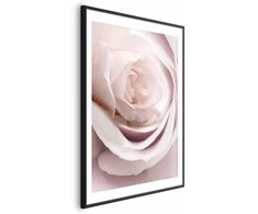 Artgeist Plakatas - Porcelain Rose