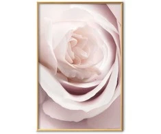Artgeist Plakatas - Porcelain Rose