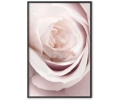 Artgeist Plakatas - Porcelain Rose