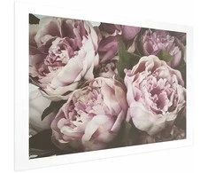 Artgeist Plakatas - Rožinė Peonies