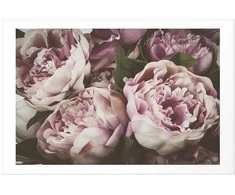 Artgeist Plakatas - Rožinė Peonies