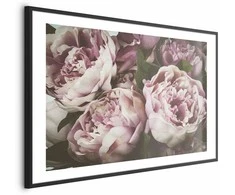 Artgeist Plakatas - Rožinė Peonies