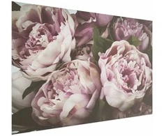 Artgeist Plakatas - Rožinė Peonies