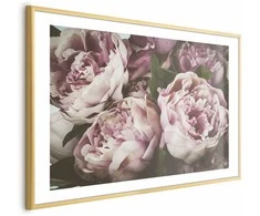 Artgeist Plakatas - Rožinė Peonies