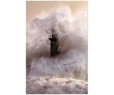 Artgeist Plakatas - Storm