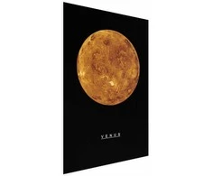 Artgeist Plakatas - Venus