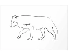 Artgeist Plakatas - Wolf