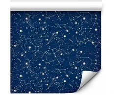 Artgeist Tapetas - Cosmic Inspirations - Pattern with Stars and Constellations on a Dark Background.