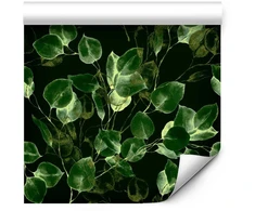 Artgeist Tapetas - Greenery Decoration