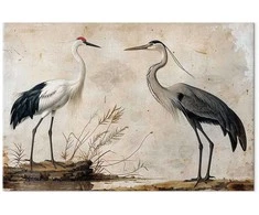 Artgeist XXL paveikslas - Birds from an old engraving - vintage-style illustration depicting a heron and a crane