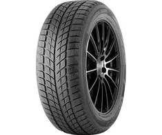 245/45R18 DOUBLESTAR DW09 96T
