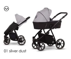 Vaikiškas vežimėlis LONEX PAX FRESH 2in1 01 Sidabrinis DUST