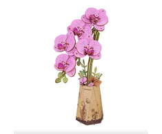 Robotime 3D Medinis konstruktorius Orchidėja