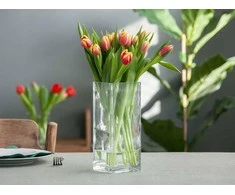 Mondex Glass vase square 10x10 cm h 25 cm