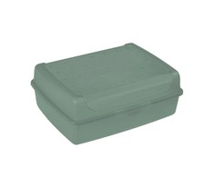 Luca click box midi 17x13x7 cm 1 L žalias