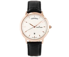 VYRIŠKAS LAIKRODIS JORDAN KERR - 3978G (zj094c)