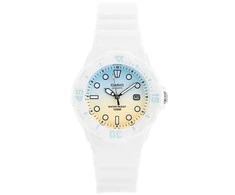 MOTERIŠKAS LAIKRODIS CASIO LRW-200H 2E2VDR (zd557m)