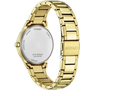Laikrodis Damski Citizen FE6122-64A