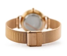 Laikrodis moterims Daniel Wellington DW00100161 - Petite Melrose (zx704a)