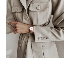 Laikrodis moterims Daniel Wellington DW00100211 - Iconic Link (zx706a)