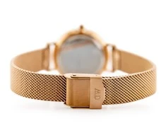 Laikrodis moterims DANIEL WELLINGTON DW00100217 - PETITE MELROSE (zx705b)