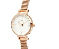 Moteriškas laikrodis DANIEL WELLINGTON Petite Mini Rose Gold Stainless Steel 19mm DW00100744 + BOX (zw523c)