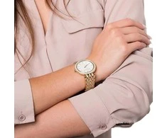 Laikrodis WOMEN'S WATCH Michael Kors Darci MK3219 + BOX