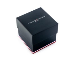 Moteriškas laikrodis TOMMY HILFIGER 1782165 PROJECT Z (zf501c)