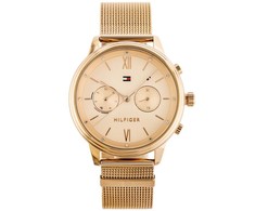MOTERIŠKAS LAIKRODIS TOMMY HILFIGER BLAKE (zf515d)