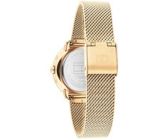 TOMMY HILFIGER 1782699 Demi moteriškas laikrodis (zf609a) + DĖŽUTĖ