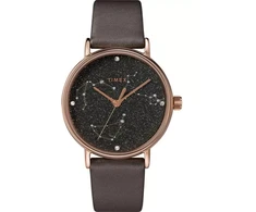 Moteriškas laikrodis TIMEX CELESTIAL OPULENCE TW2T87700 (zt672b)