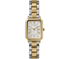 Moteriškas laikrodis TIMEX TW2Y01300 Dress