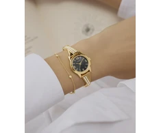 Moteriškas laikrodis TIMEX TW2Y39200 + BOX