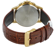 Vyriškas laikrodis Casio BMS-300GL-5A + BOX (zd127d)