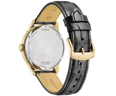 Vyriškas laikrodis Citizen AW0153-04A