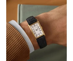 Vyriškas laikrodis TIMEX TW2Y56200 + BOX
