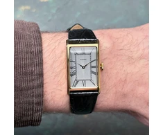 Vyriškas laikrodis TIMEX TW2Y56200 + BOX