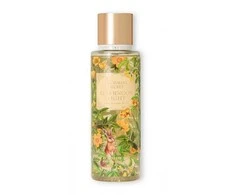 Victoria Secrets Afternoon Light parfumuota kūno dulksna