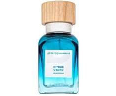 Adolfo Dominguez Agua Fresca Citrus Cedro EDT tualetinis vanduo vyrams, 60 ml